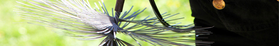 Banner - Martin Bahlmann